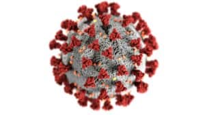 immagine che raffigura il virus SARS-CoV-2