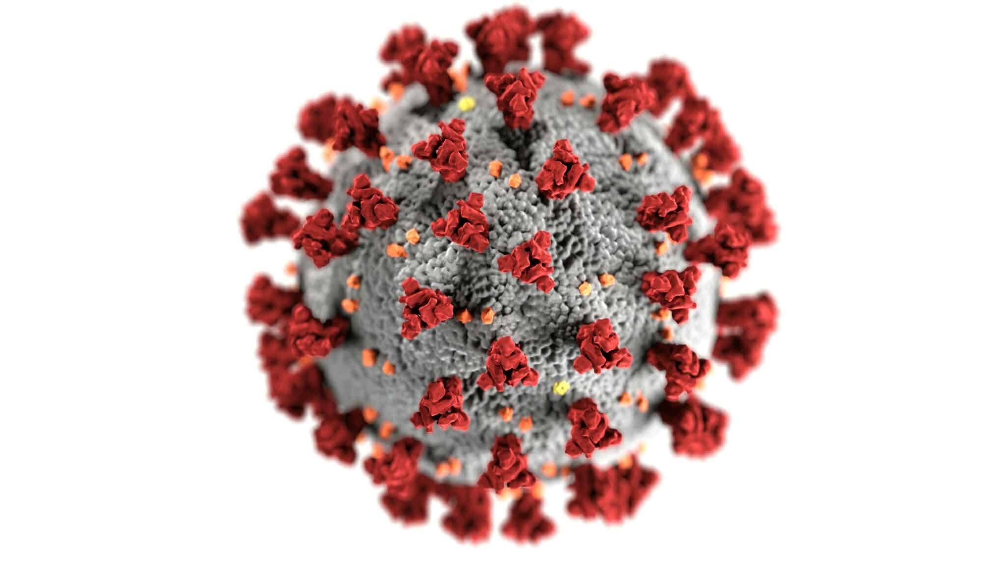 immagine che raffigura il virus SARS-CoV-2