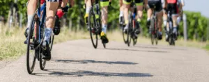 Gruppo di ciclisti in gara su strada asfaltata, circondati da vigneti
